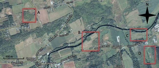Study sites (red boxes A, B, C, D) within the study region (see figure 2). The Gaspereau River is the dark winding line that runs adjacent to sites B and C.