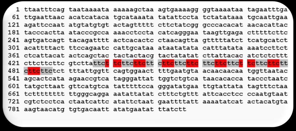 Simple Sequence Repeats (SSR) are mostly noncoding part of genome which are usable for population