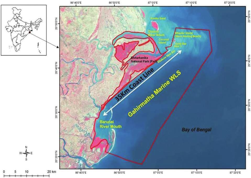 Fig. 1. Map of Gahirmatha Marine Wildlife Sanctuary (WLS) extending 35km along the coastline of Odisha. Olive ridleys are victims of several threats along the Odisha coast.