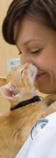 The Cat (CFP) Program Benefits Both Practices and Cat Owners by: Explaining
