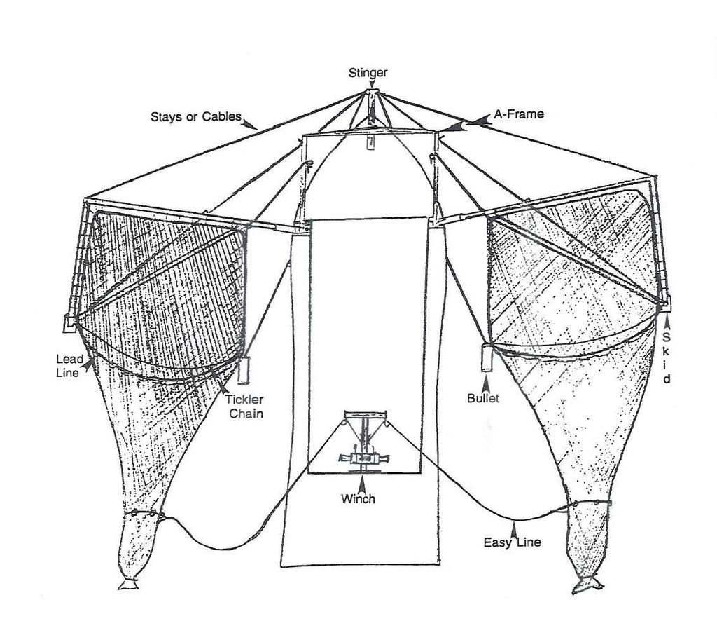 Figure 3. Schematic of a skimmer trawl and its components viewed from overhead (from Hein and Meir 1995) All Gulf of Mexico states except Texas include skimmer trawls as an allowable gear.