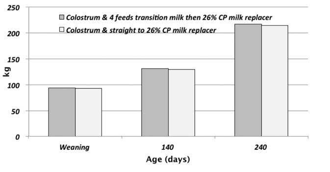 Another strategy to overcome this difficulty is to commence milk replacer feeding immediately after the first feed of colostrum.