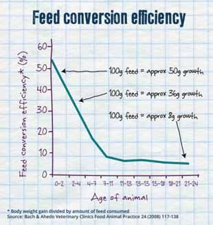Feeding the pre-weaned calf for lifetime performance A calf s future success in the beef or dairy industries depends on the treatment it receives from birth.