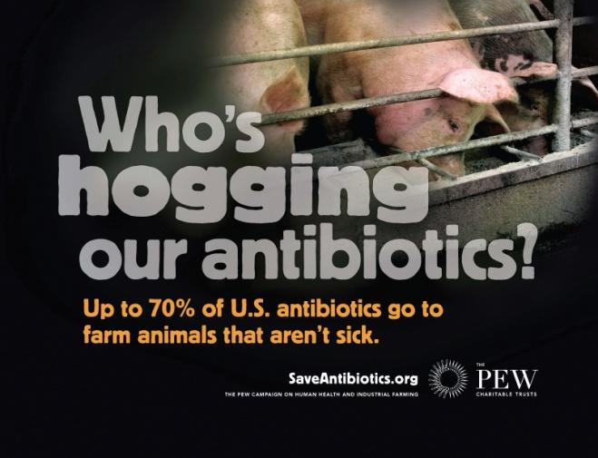 The Pew Campaign on Human Health and Industrial Farming www.