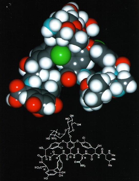 Vancomycin 3D structure