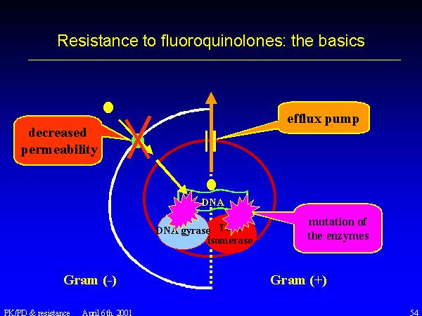 6. Fluoroquinolones - DNA gyrase subunit A change /enzyme