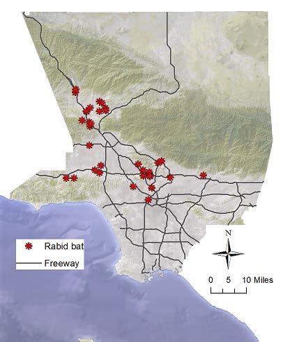 Geographic Pattern The 38 rabid bats found in 2016 were primarily in the central and western areas of the county, in Santa Clarita Valley, San Fernando Valley, and near Downtown Los Angeles (Figure