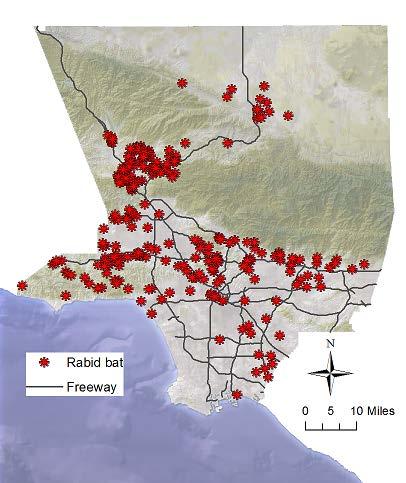 In the past decade of 2007-2016, rabid bats were found across a wide area of LA County (Figure 1D). Figure 1C.