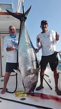 Sailfish are a few miles to the north of the rock in decent numbers. Then there s the Yellowfin Tuna, some days they re Stan Gabruk (Owner of Master Baiter's Sportfishing & Tackle) 25 lbs.