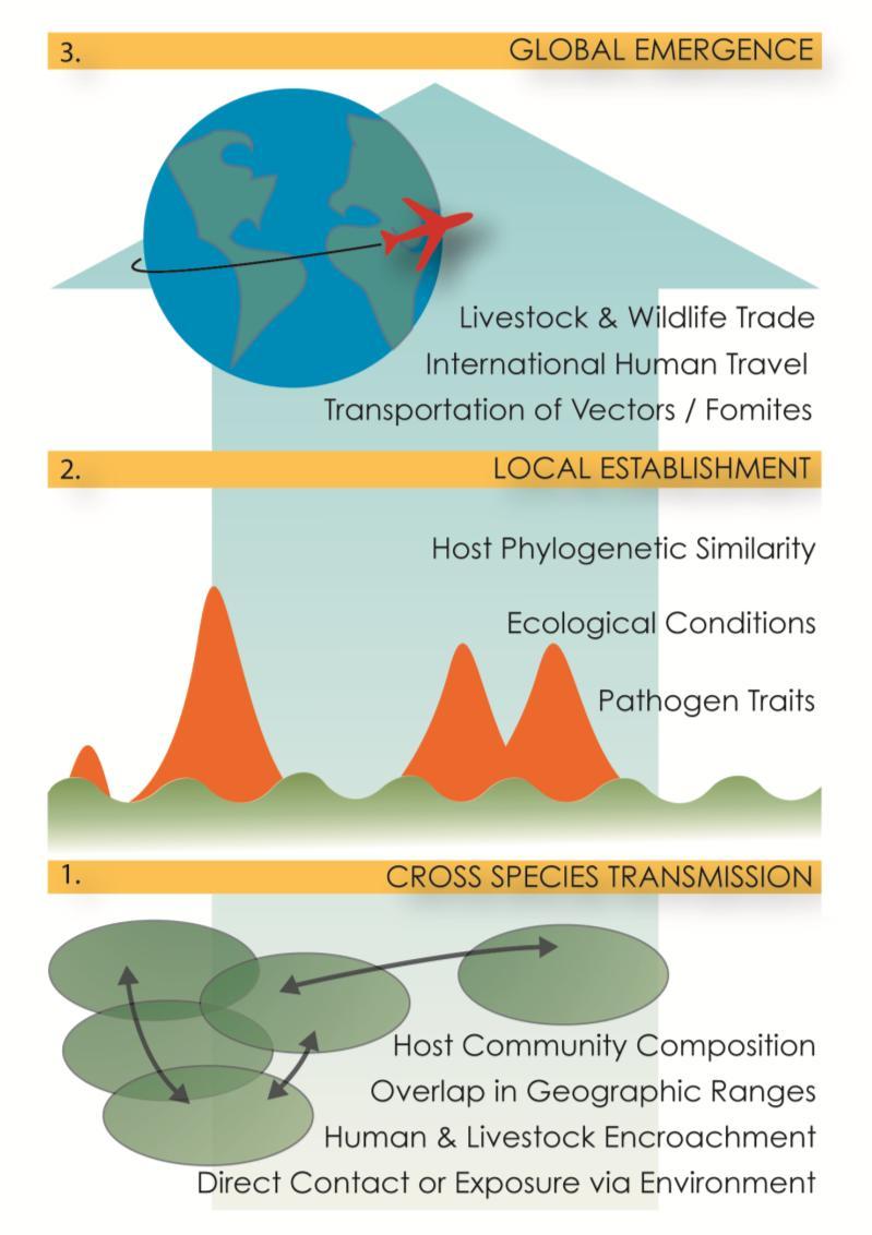Zoonotic pathogen Emergence ~ 50% of known human pathogens are zoonotic 75% of emerging human pathogens