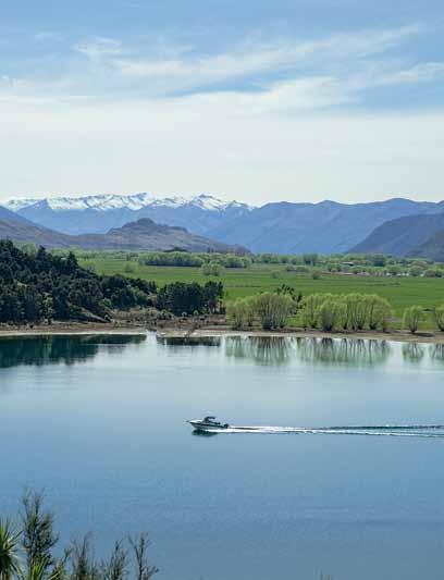Wanaka for a barbecue