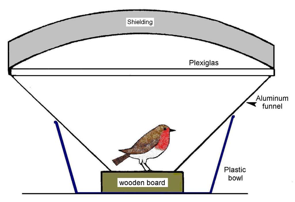 Demonstrating magnetic compass navigation in migratory birds