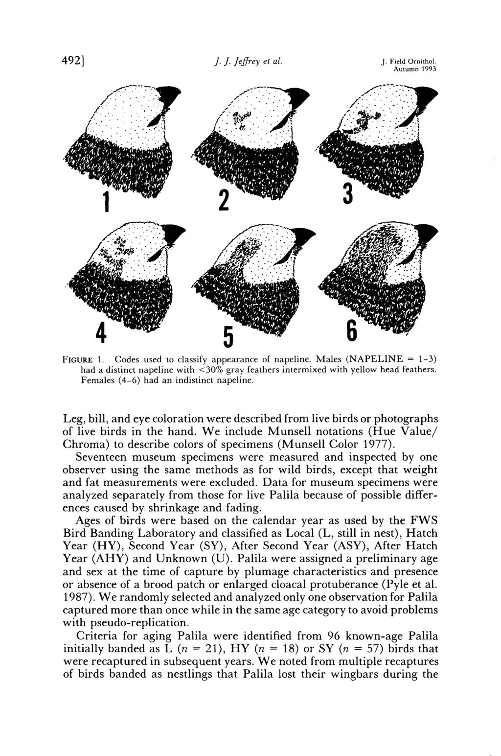 492] J. J. Jeffrey et al. J. Field Ornithol. Autumn 1993 FIGURE 1. Codes used to classify appearance of napeline.