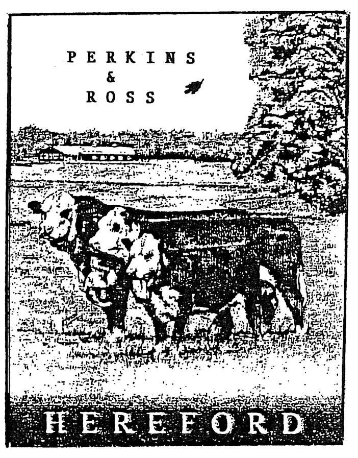 Perkins & Ross Herefords P.O.