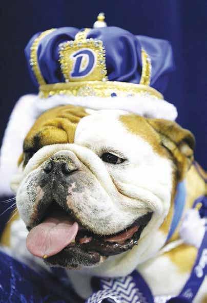 Psalm 145:16 TEACHING TIP Bulldog Tank won this year s Beautiful Bulldog contest at Drake University in Iowa. He became the mascot for an outdoor track meet there.