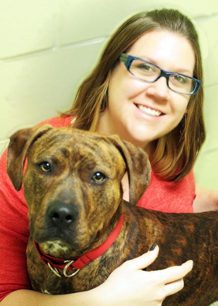 Jenny was recently promoted to director of operations at HSHV. In her spare time, she is pursuing her law degree. Lisa Pick serves as the chair of the Board of Directors of All About Animals Rescue.