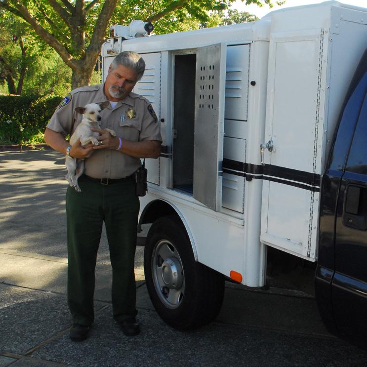 If you re a lost pet, Marin is a good place to be. That s because our Lost and Found staff and Animal Services officers go way above and beyond the call of duty to get lost animals back home.
