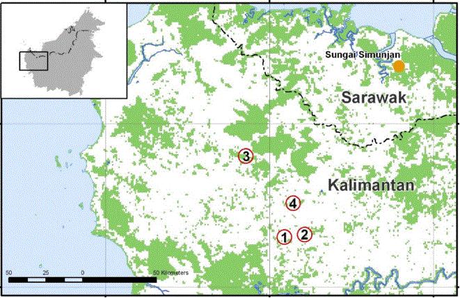 Image 3: Localities surveyed in Landak District of West Kalimantan overlaid with 2007 forest cover data. SOURCE: Yaap et al, 2012 With the five locality records publicized in 2012 (i.e. the four reported by Yaap et al.