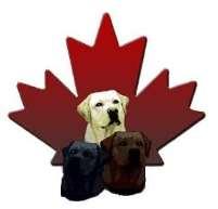 Official Premium List Labrador Retriever Club of Canada Regional Specialty Juvenile/Veteran Sweepstakes Junior Handling Competition Friday, July 6 th, 2018 Held in Conjunction with Vernon & District