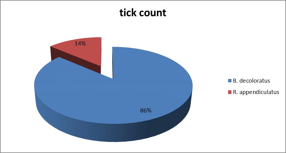 Tick species percentage.