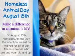 Homeless Animal Day Matched adoption fee of free cats from family, friends & streets Nat.