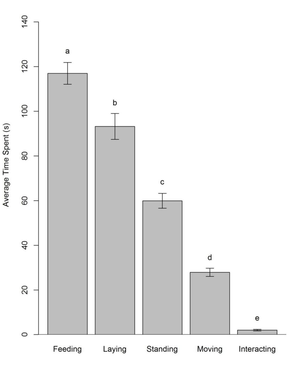 39 The amount of time bighorn sheep spent in the 5 observable behaviours were significantly different with the greatest amount of time spent feeding followed by laying, standing, moving, and