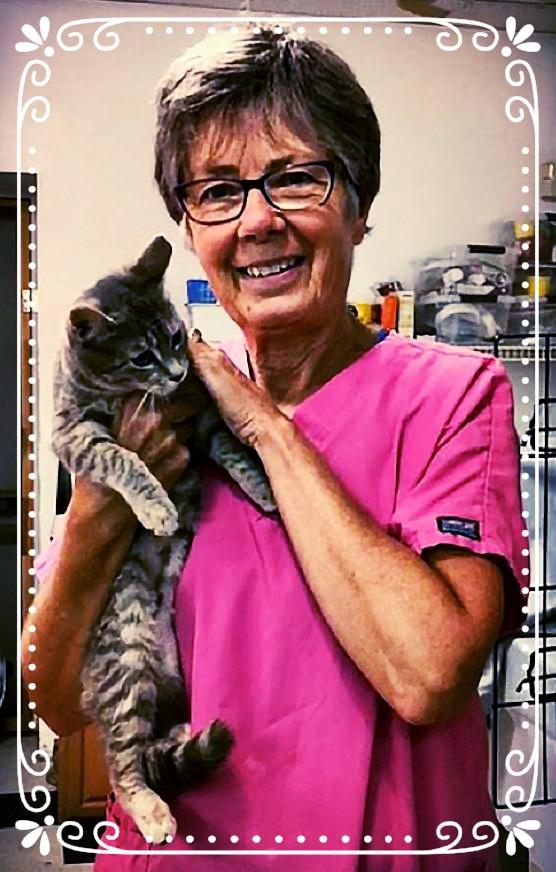 She serves as the Foster Coordinator for Willow Grove, making sure as many cats as possible get into a loving temporary home as they await an opening at an adoption center or a direct adoption.