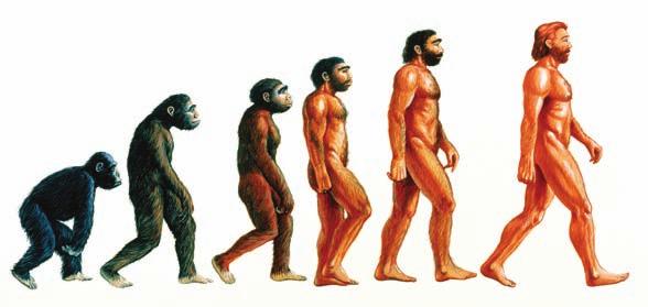 similar. Darwin discussed human origins in The Descent of Man.