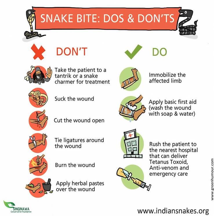 Snake Bite Venom Management https://www.offgridweb.