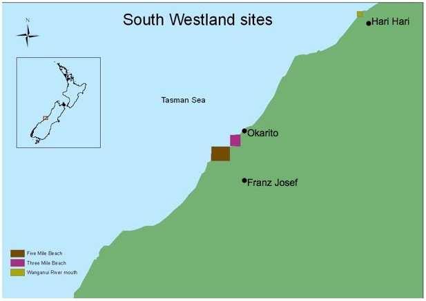 Figure 2. Map of study sites in South Westland. 3.2 South Westland sites 3.2.1 Three Mile Beach The town of Okarito is located on the West Coast of the South Island of New Zealand.