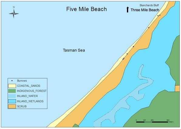 Mile Beach, although stands of Tree fuchsia (Fuchsia excorticata) are also found in the forest behind the bush line. Figure 4. Map of Five Mile Beach site.
