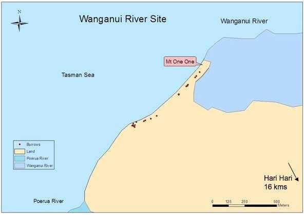 Figure 5. Map of Wanganui River mouth site. The fore dunes are dominated by Marram grass, and large piles of driftwood cover large sections of the dunes and beach.