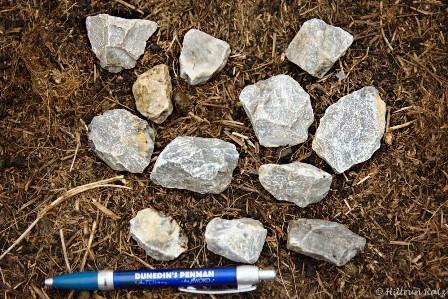 A dozen rocks were found scattered over an open area used