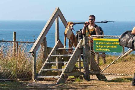 Spearfishers with a dog returning from the Historic Reserve to the carpark on 27 February 2016 A visitor with