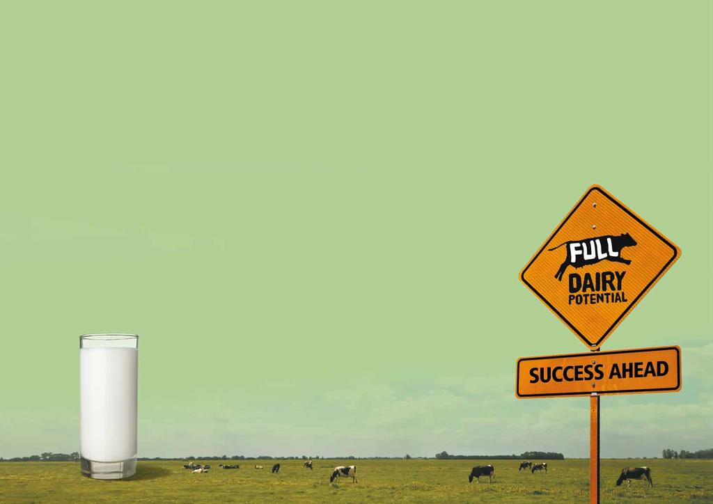 Why it s so important that we work together to improve milk quality The New Zealand dairy industry is concerned that economic pressures are leading farmers to compromise by just meeting minimum