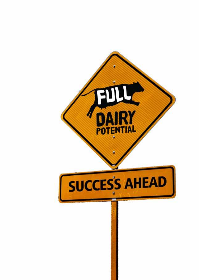 Studies show that there are significant production gains to be made through the maintenance of good milk quality for example, dropping SCC from 200,000 to 100,000 cells per ml is estimated to yield