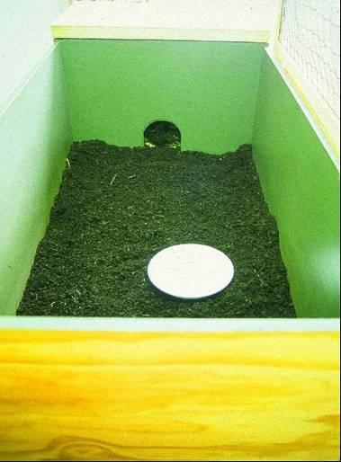 Figure 9. A wooden brooder filled with peat moss and a good sized water dish. The small entrance hole leads to the sleeping area. A mesh lid closes over the top. (Photo: S. Bassett). Figure 10.