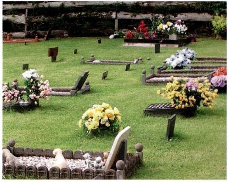 Over the last 40 years, Pet Cremation Services (PCS) have built up a network of UK crematoria and cemeteries with an excellent reputation for providing pets with the very best farewell whilst at the