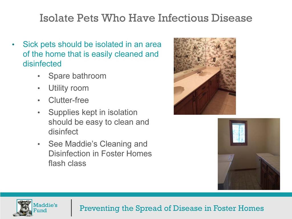 To help prevent the spread of disease from sick pets to healthy ones, isolate pets who have infectious disease.