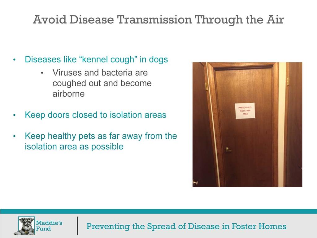 Some infectious diseases can be transmitted through the air. Kennel Cough, in dogs is a good example.