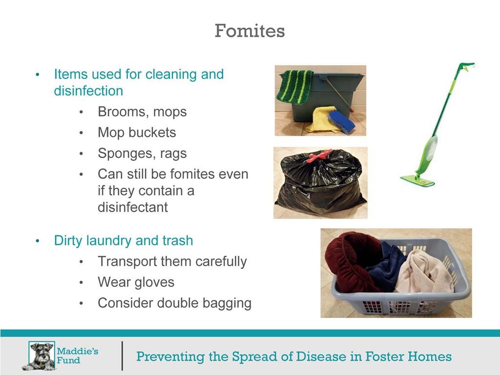 It may sound counterintuitive, but fomites can also be items used for cleaning and disinfection like brooms, mops, mop buckets, sponges, and rags.