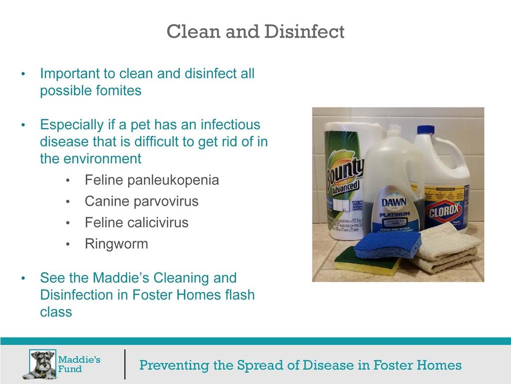 It is very important to clean and disinfect all possible fomites to help prevent the spread of disease in the foster home.