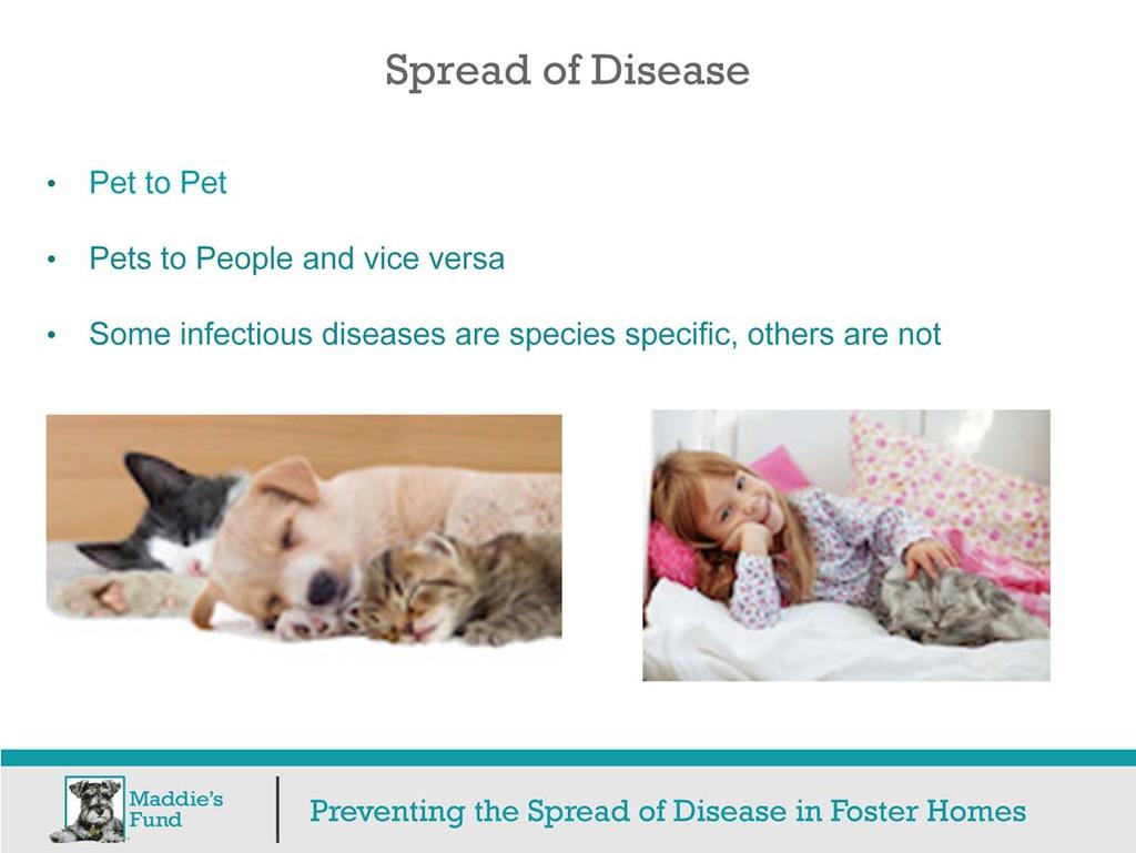 Spread of disease can be from pet to pet Pets can also spread disease to people, and vice versa Some infectious diseases are species specific and cannot spread to a pet of a different species, nor to