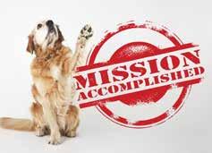 Fund of Love & Double The Gold Challenge: Mission Accomplished! Proving once again that Homeward Bound supporters are THE BEST, we want to thank you from the bottom of our hearts (and paws!