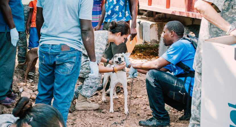 Rabies workshop in Haiti Haiti is one of the last countries in the Western Hemisphere that still suffers from large numbers of human rabies deaths.