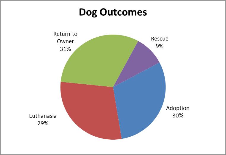 Dog Outcomes Outcomes for dogs impounded at the shelter were primarily adoption (30%), return to owner (31%), and euthanasia (29%).
