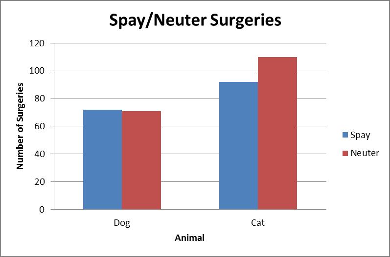 Spay/Neuter Surgeries In the third quarter of 2017, 345 animals were spayed or neutered in the Shelter s Surgical Suite. Of the total spay/neuter surgeries, 143 were dogs and 202 were cats.