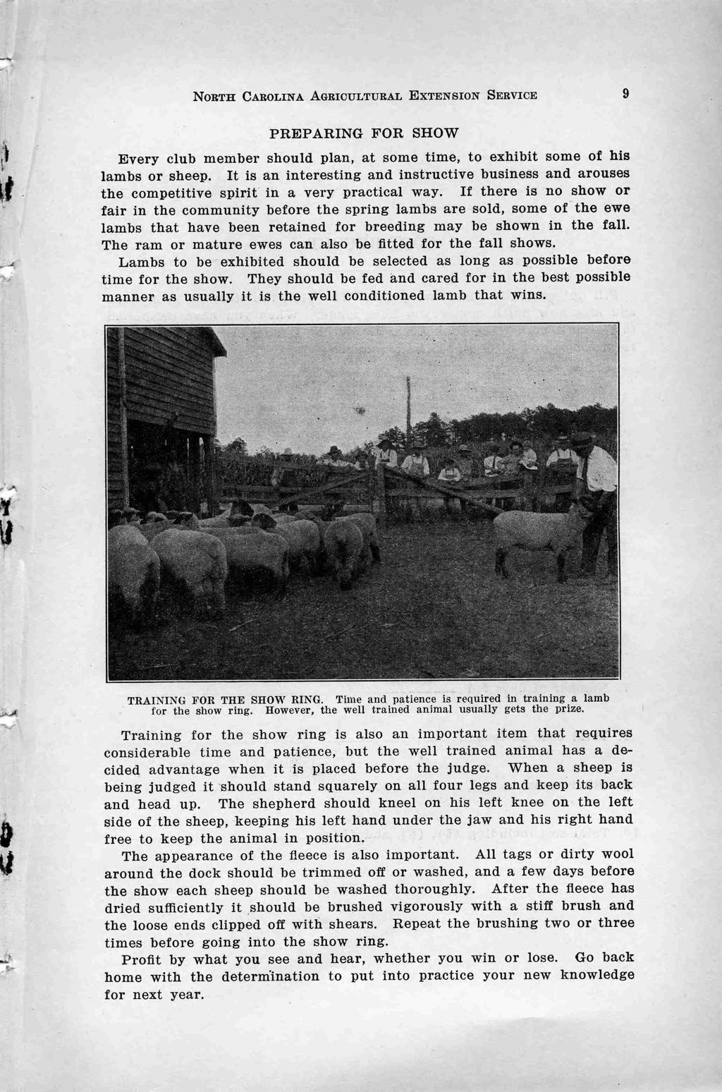 sci-x: ; NORTH CAROLINA AGRICULTURAL EXTENSION SERVICE 9 cr ri- PREPARING FOR SHOW Every club member should plan, at some time, to exhibit some of his lambs or sheep.