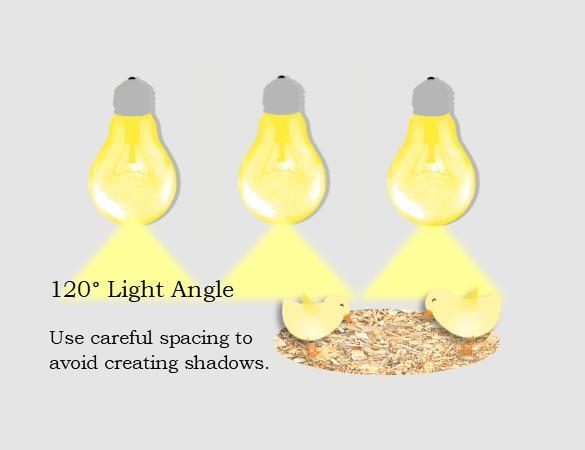 likely to lay floor eggs in dark corners. Low hung lights and less than 120 degree angles create spotlighting effect, creating dramatic light and dark areas 23.