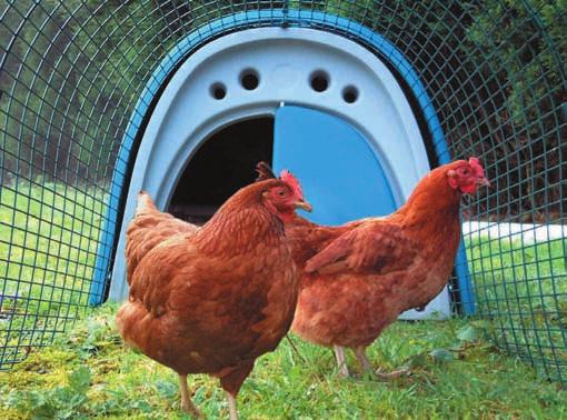 The eglu is ideal for keeping chickens in your garden The eglu is a truly innovative chicken house designed specifically for the garden.
